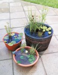 diy-portable-outdoor-water-garden-1