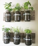 Wall garden with jars