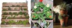 Tiered gardens -pots