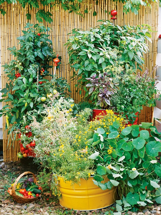 Unique Garden Decor Ideas Photograph | ... and Summer â “ Un