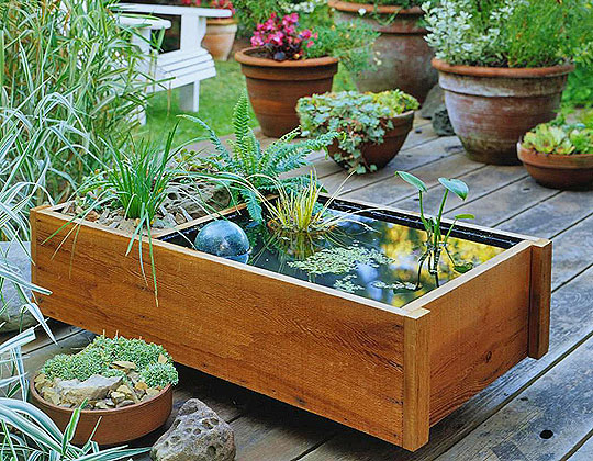 container garden ideas Container Water Garden Ideas | 540 x 420