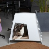 Creative planter houses for pets2