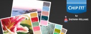 chip it by Sherwin Williams