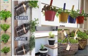Making you own herb garden ideas