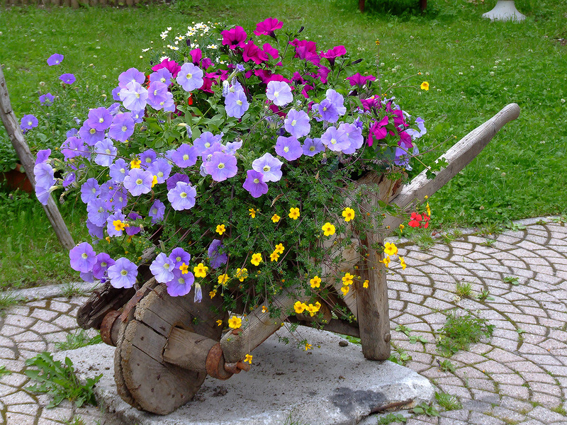 Amazing examples of flower beds | My desired home