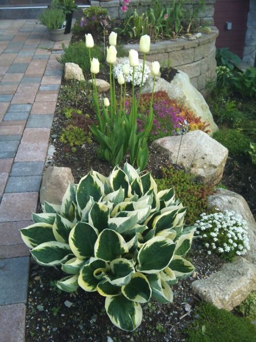 20 wonderful original flower beds that will decorate any ...