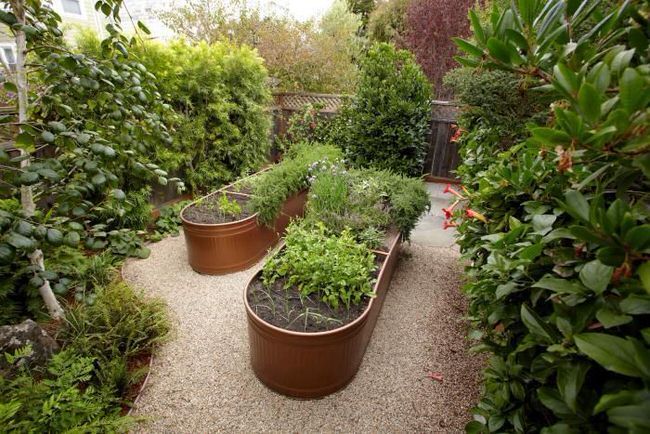 gardening tips and design ideas18