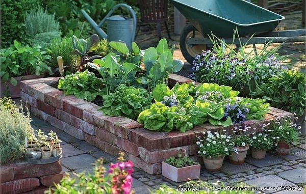 gardening tips and design ideas3