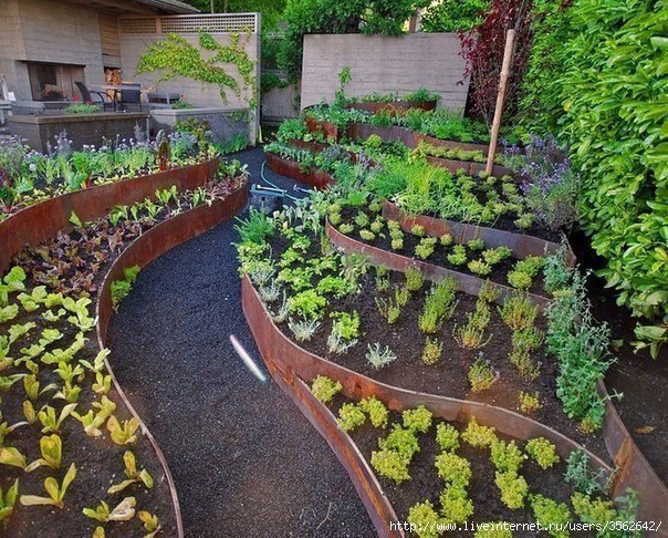 gardening tips and design ideas4