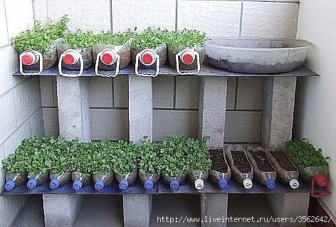 gardening tips and design ideas9