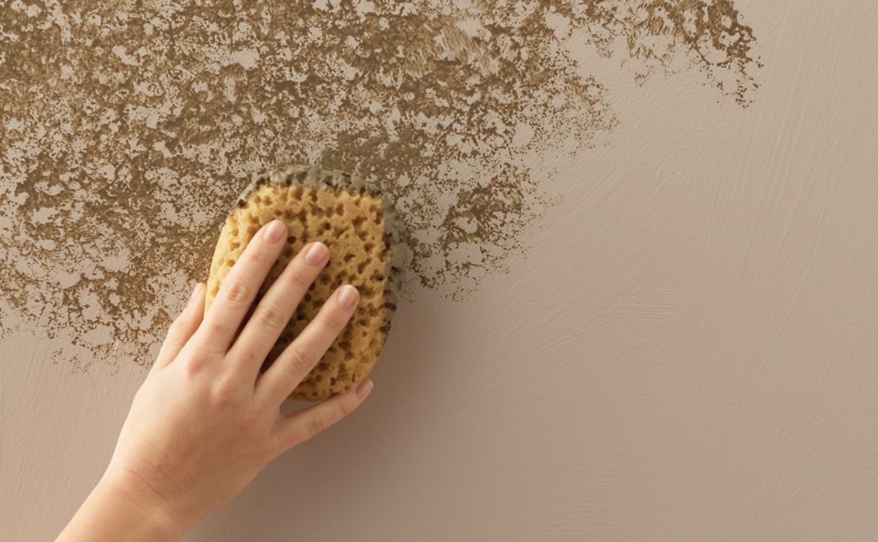 How to Create Stunning Wall Paint Effects Using a Sponge | My desired home