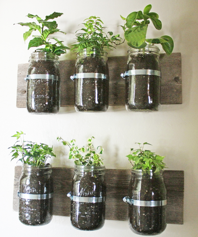 Wall garden with jars | My desired home