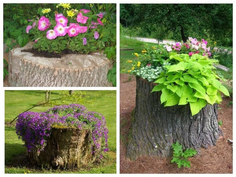 DIY Plant Pots from Tree Stumps | Unique Garden Decor Ideas | My ...