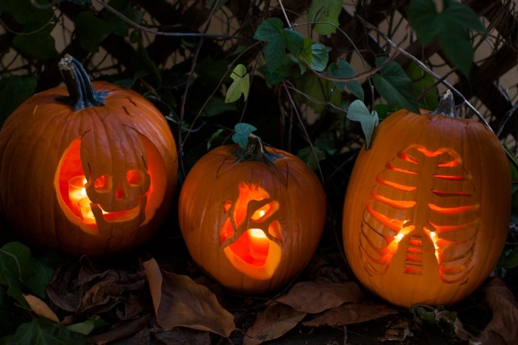 halloween-pumpkin-decorating-ideas26 – My desired home