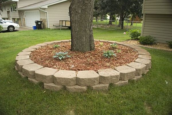 Flowers who loves shady places - ideas for arranging trees in yard | My