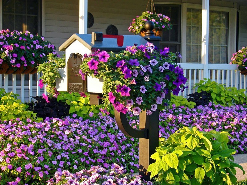 Amazing examples of flower beds | My desired home