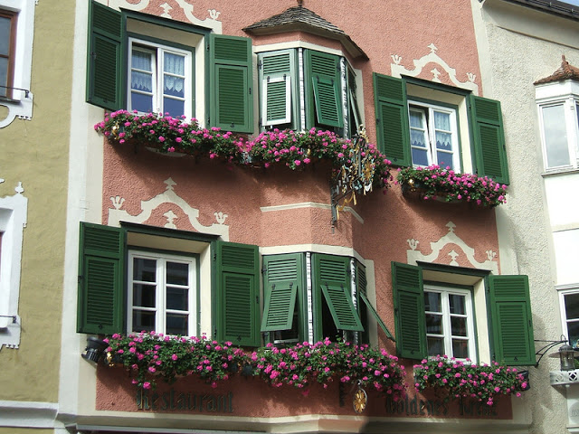 Flower balconies and windows11