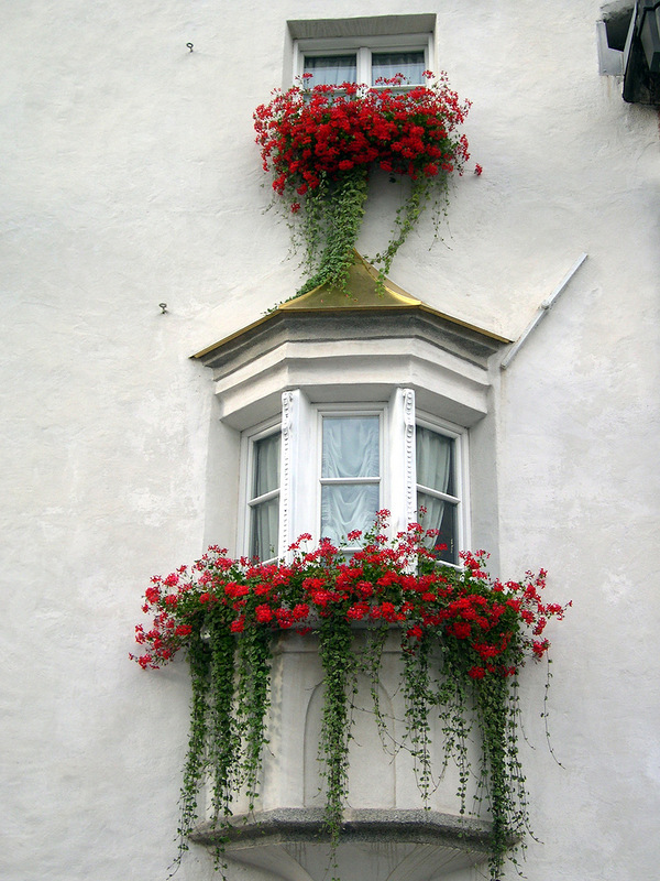 Flower balconies and windows15