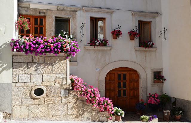 Flower balconies and windows18