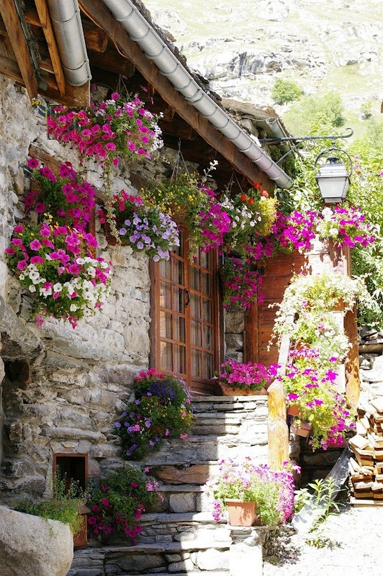 Flower balconies and windows2