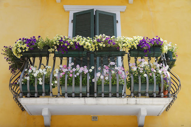 Flower balconies and windows20