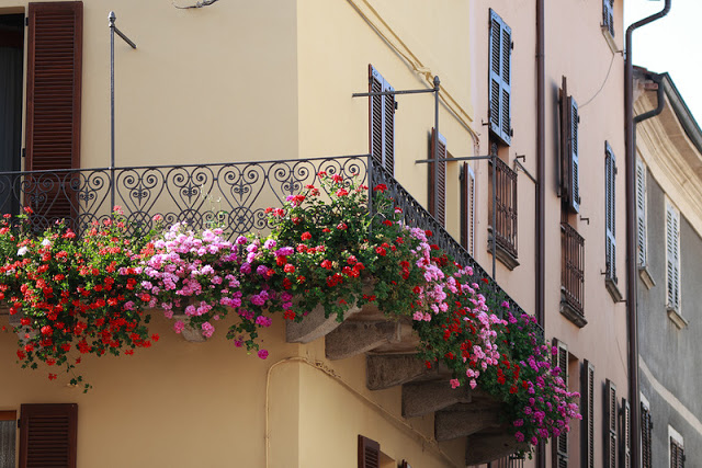 Flower balconies and windows21