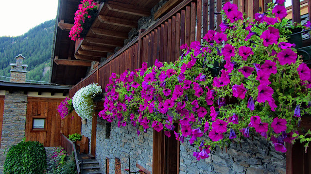 Flower balconies and windows22