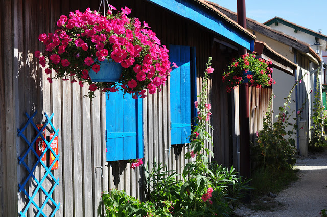 Flower balconies and windows23