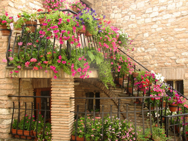 Flower balconies and windows24