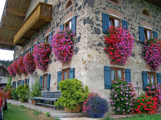Flower balconies and windows27