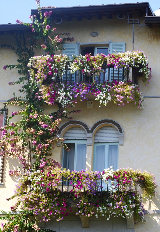 Flower balconies and windows5