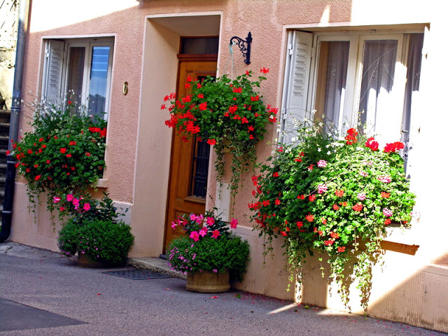 Flower balconies and windows6
