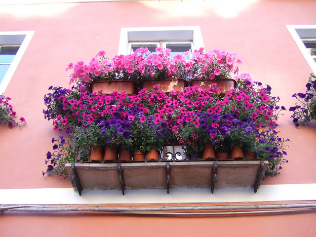 Flower balconies and windows7