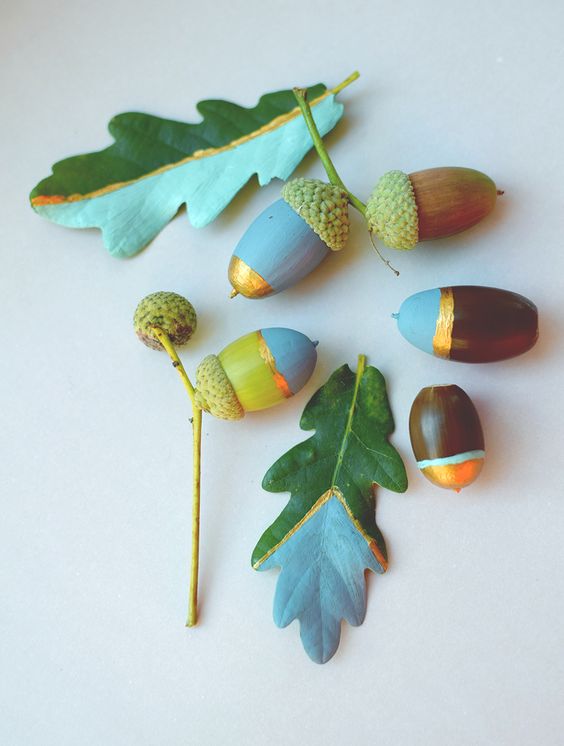 diy from acorns (1)
