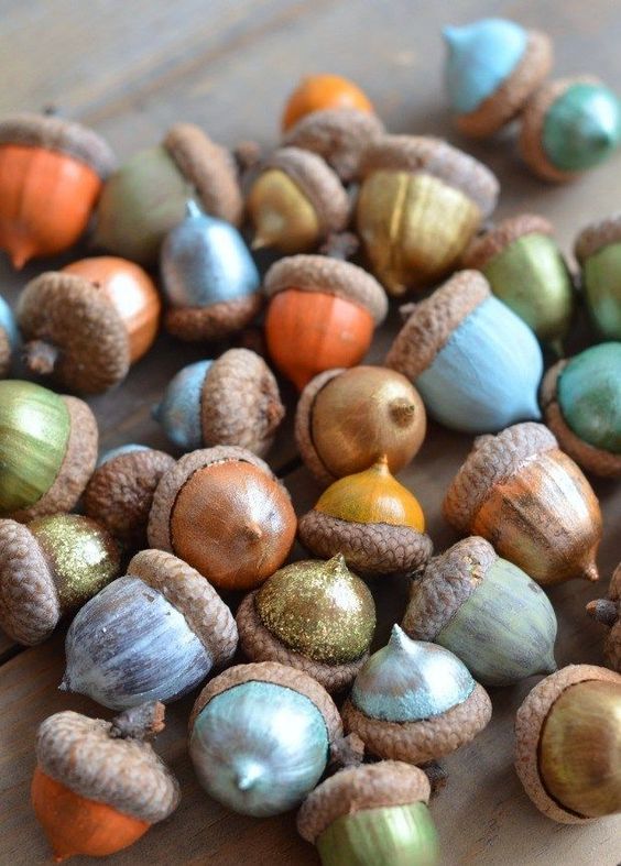 diy from acorns (12)