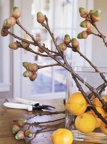 diy from acorns12