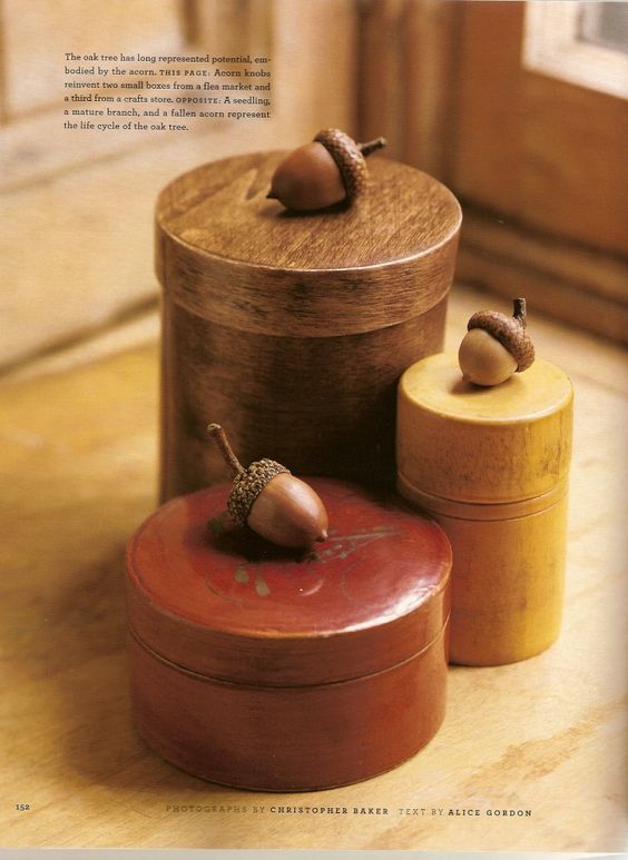 diy from acorns14