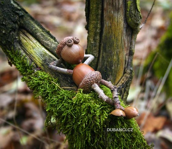 diy from acorns8
