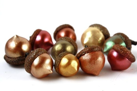 diy from acorns9