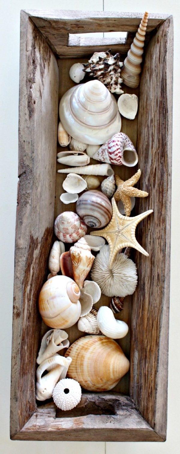 DIY: Crafts with shells – 43 inspirational ideas for creative minds