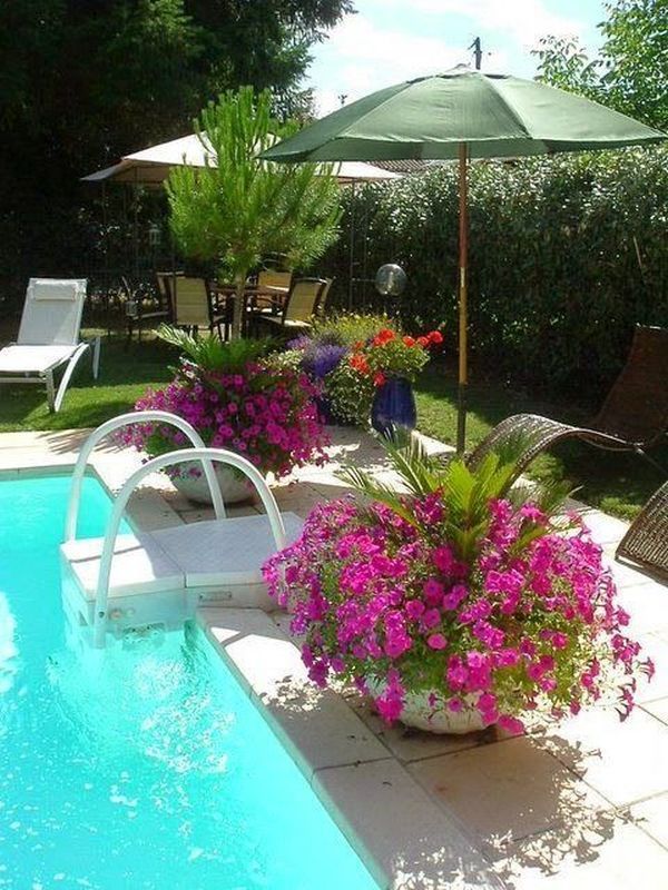 Fantastic garden arrangement ideas with flowers for the summer