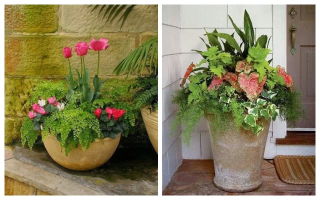 Amazing garden decorations with small and big clay pots
