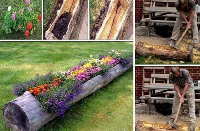 21 Great images of tree trunks transformed into beautiful pots
