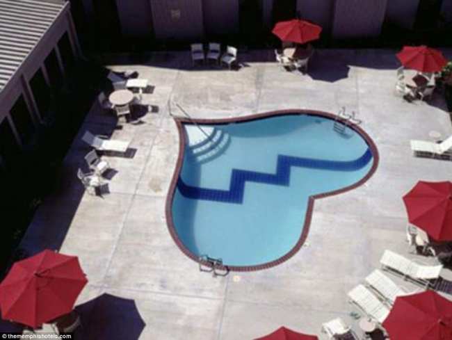 Great Pool ideas in unusual shapes