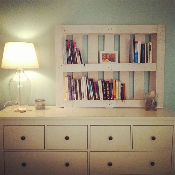 Creative diy shelves and bookcases from pallets