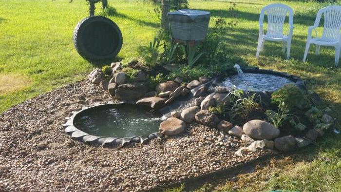 How to make a small DIY pond from a tire for your garden