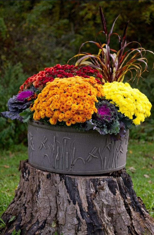 Highlight garden with these DIY ideas of colorful pot arrangements