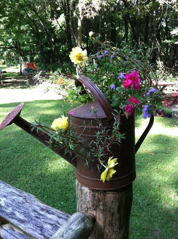 Highlight garden with these DIY ideas of colorful pot arrangements