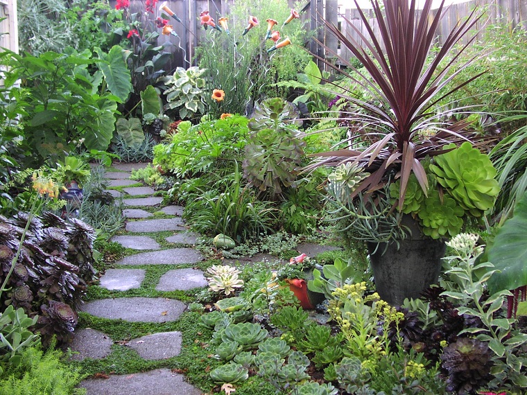 Garden paths: 28 DIY proposals to beautify your outdoor