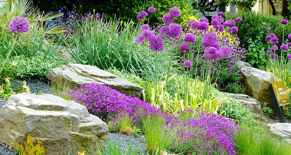 Garden with stones: ideas for the most relaxed lazy gardeners